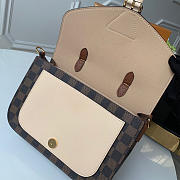 Louis Vuitton Damier Ebene Crossbody Handbag Apricot N40148 - 2