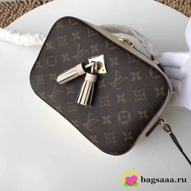 Louis Vuitton Monogram Saintonge Beige Handbag M43559 Bagsaa - 1