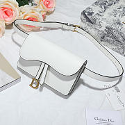 Dior Saddle Waistband Saddle white bag 17cm - 6