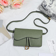 Dior Saddle Waistband Saddle green bag 17cm - 1