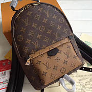 Louis Vuitton Monogram PM Palm Springs Backpack M43116 - 6