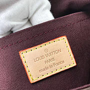 Louis Vuitton Favorite MM Monogram handbag M40718 - 5
