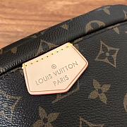 Louis Vuitton Bumbag Monogram Bag M43644 - 4