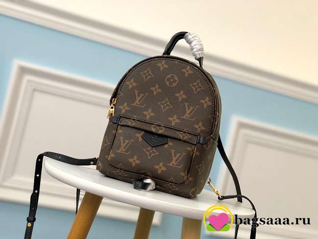 Louis Vuitton Palm Springs Mini Backpack M41562 - 1