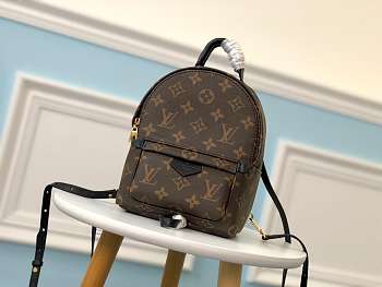 Louis Vuitton Palm Springs Mini Backpack M41562