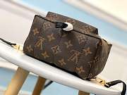 Louis Vuitton Palm Springs Mini Backpack M41562 - 4
