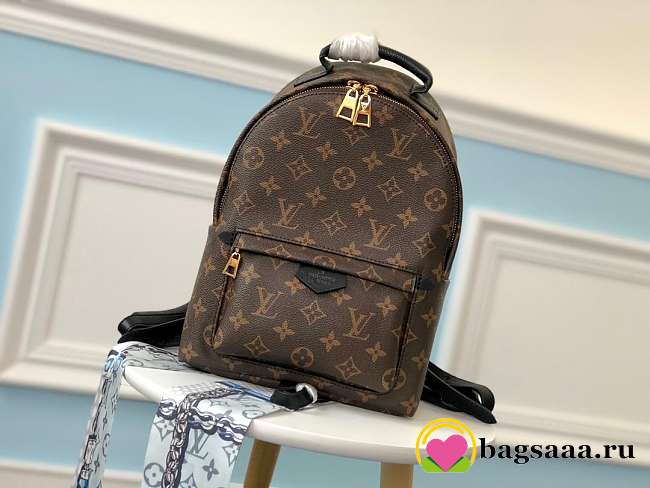 Louis Vuitton Monogram Palm Springs Backpack M41560 - 1