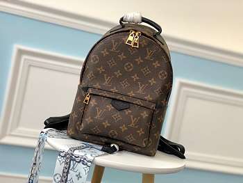 Louis Vuitton Monogram Palm Springs Backpack M41560