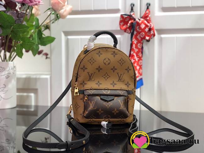 Louis Vuitton Palm Springs Mini backpack M42411 - 1