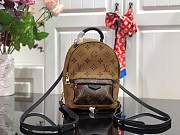 Louis Vuitton Palm Springs Mini backpack M42411 - 1