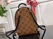 Louis Vuitton Palm Springs Mini backpack M42411 - 2