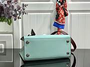 City Steamer Mini handbag M53804 01 - 5