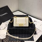 Chanel Leboy bag 20cm - 1