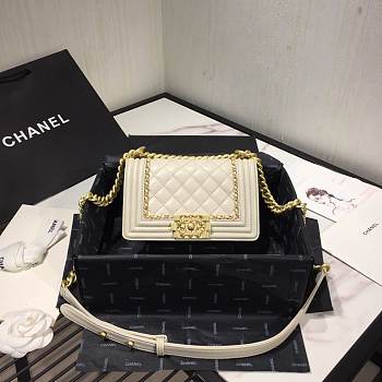 Chanel Leboy bag 20cm