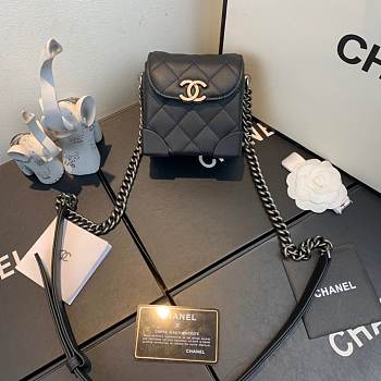 Chanel Mini bag AS1169 003
