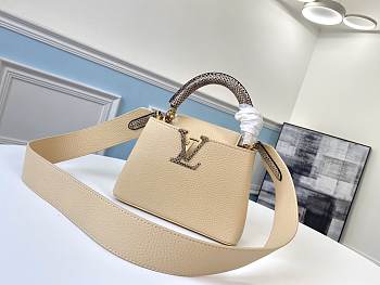 Louis Vuitton Capucines BB Mini 001