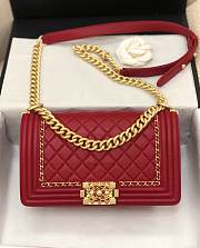 Chanel Leboy bag 25cm Red - 1