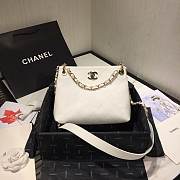Chanel 2020 SS AS1461 Bag - 1