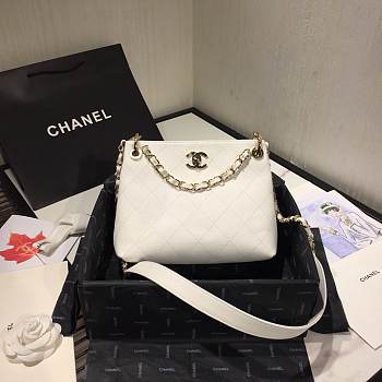 Chanel 2020 SS AS1461 Bag