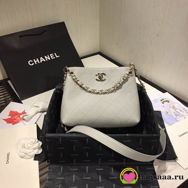 Chanel 2020 SS AS1461 Bag Gray - 1