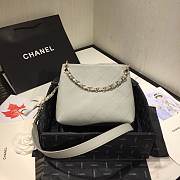 Chanel 2020 SS AS1461 Bag Gray - 4