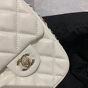 Chanel 2020 Shoulder bag AS1345 - 5