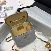 Chanel 2020 SS Cosmetic Bag Gray - 5