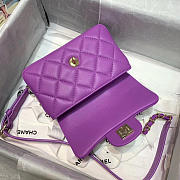 Chanel 2020 Spring Flap Bag - 4