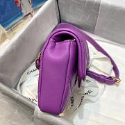 Chanel 2020 Spring Flap Bag - 3