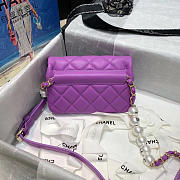 Chanel 2020 Spring Flap Bag - 5