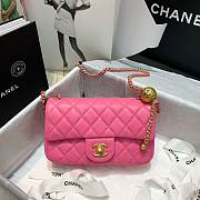 Chanel Flap Bag 20CM - 1