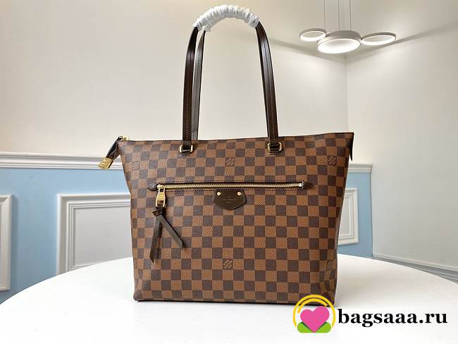 LV Damier Ebene IENA MM Handbag N41013 - 1