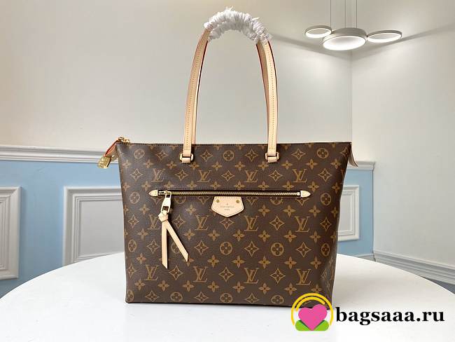 LV Damier Monogram IENA MM Handbag M42267 - 1