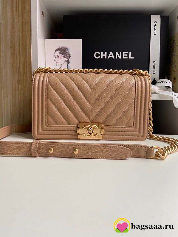 Chanel Leboy Caviar Bag 25cm - 1