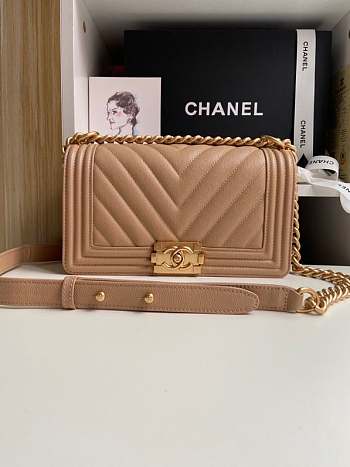 Chanel Leboy Caviar Bag 25cm