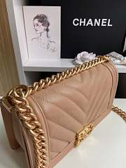 Chanel Leboy Caviar Bag 25cm - 2