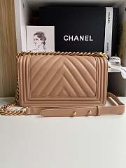Chanel Leboy Caviar Bag 25cm - 4