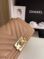 Chanel Leboy Caviar Bag 25cm - 5
