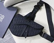Dior Saddle Bags - 1