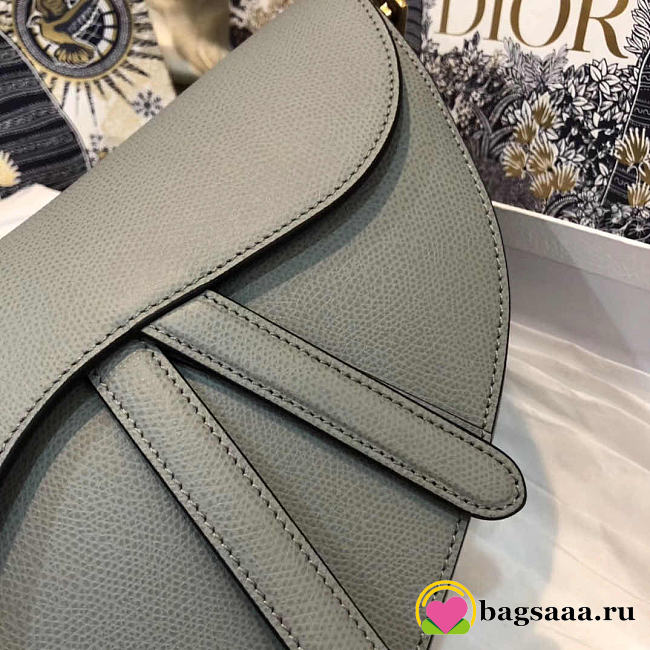Dior Saddle Bags 25.5cm - 1