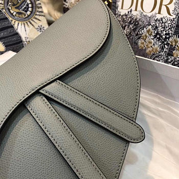 Dior Saddle Bags 25.5cm