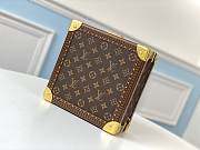 Louis Vuitton Cotteville Travel Box Brown - 4
