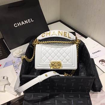 Chanel Leboy Bag Lambskin 20cm White