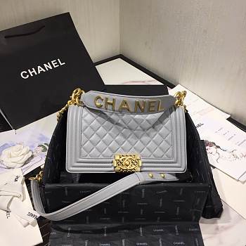 Chanel Leboy Bag Lambskin 25cm Gray