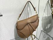 Dior Saddle bag 25cm 001 - 1