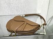 Dior Saddle bag 25cm 001 - 2