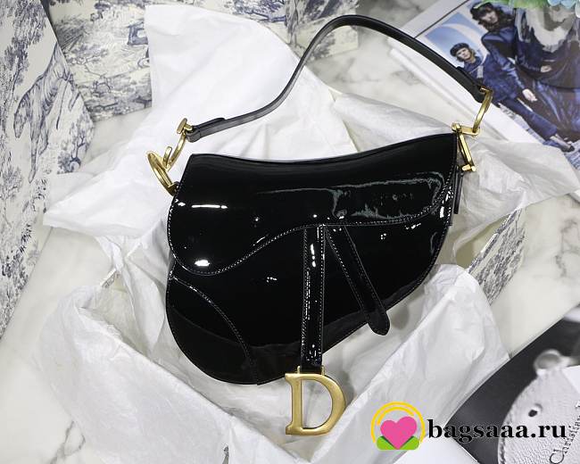 Dior Saddle bag 25cm 003 - 1