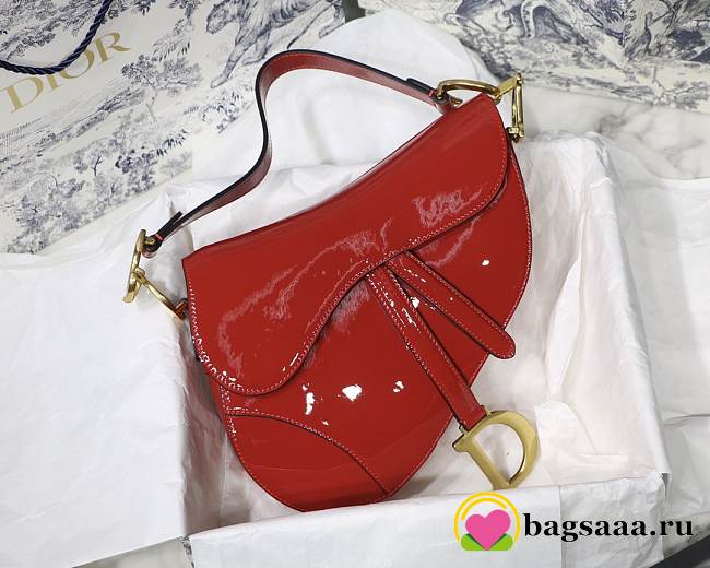 Dior Saddle bag 25cm 004 - 1