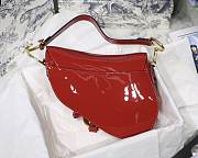 Dior Saddle bag 25cm 004 - 4