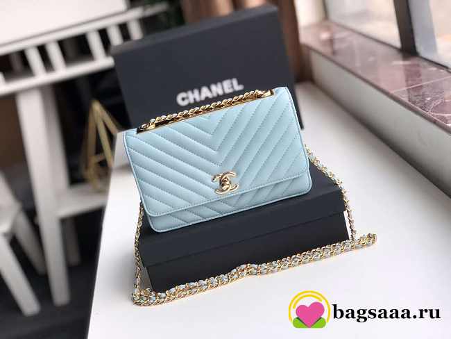 Chanel Woc bag 18cm - 1